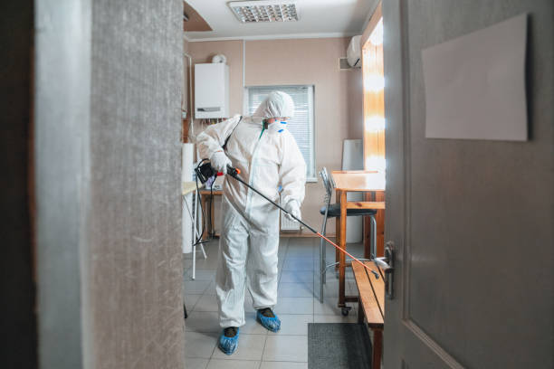 Best Commercial Mold Inspection  in Richland, PA