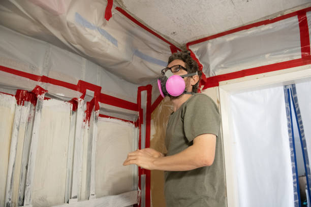 Professional Mold Removal in Richland, PA