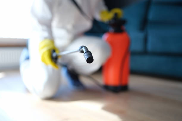 Best Mold Odor Removal Services  in Richland, PA